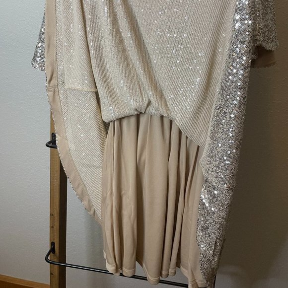 Silver Sequin Mini Dress - Picture 8 of 16